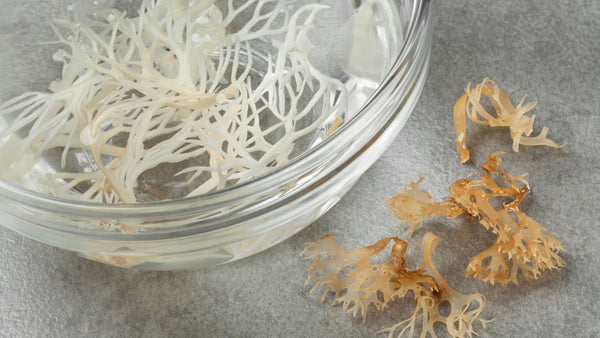 What are some side effects of sea moss?